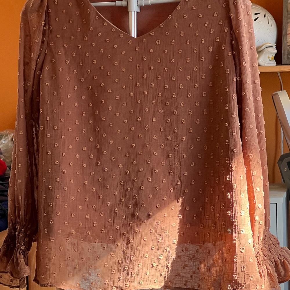 Women's Textured V-Neck Blouse in Rust